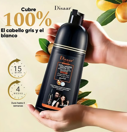 SHAMPOO CUBRE CANAS DISAAR 400 ML