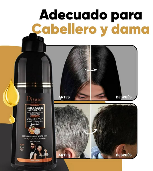 SHAMPOO CUBRE CANAS DISAAR 400 ML